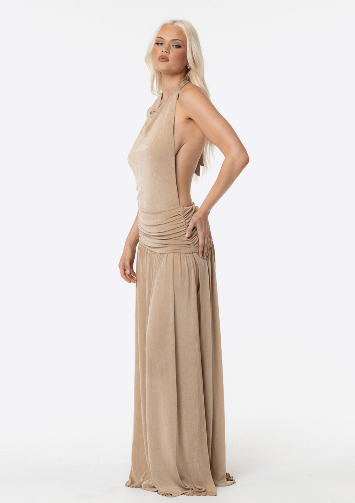 Elena Backless Maxi Dress